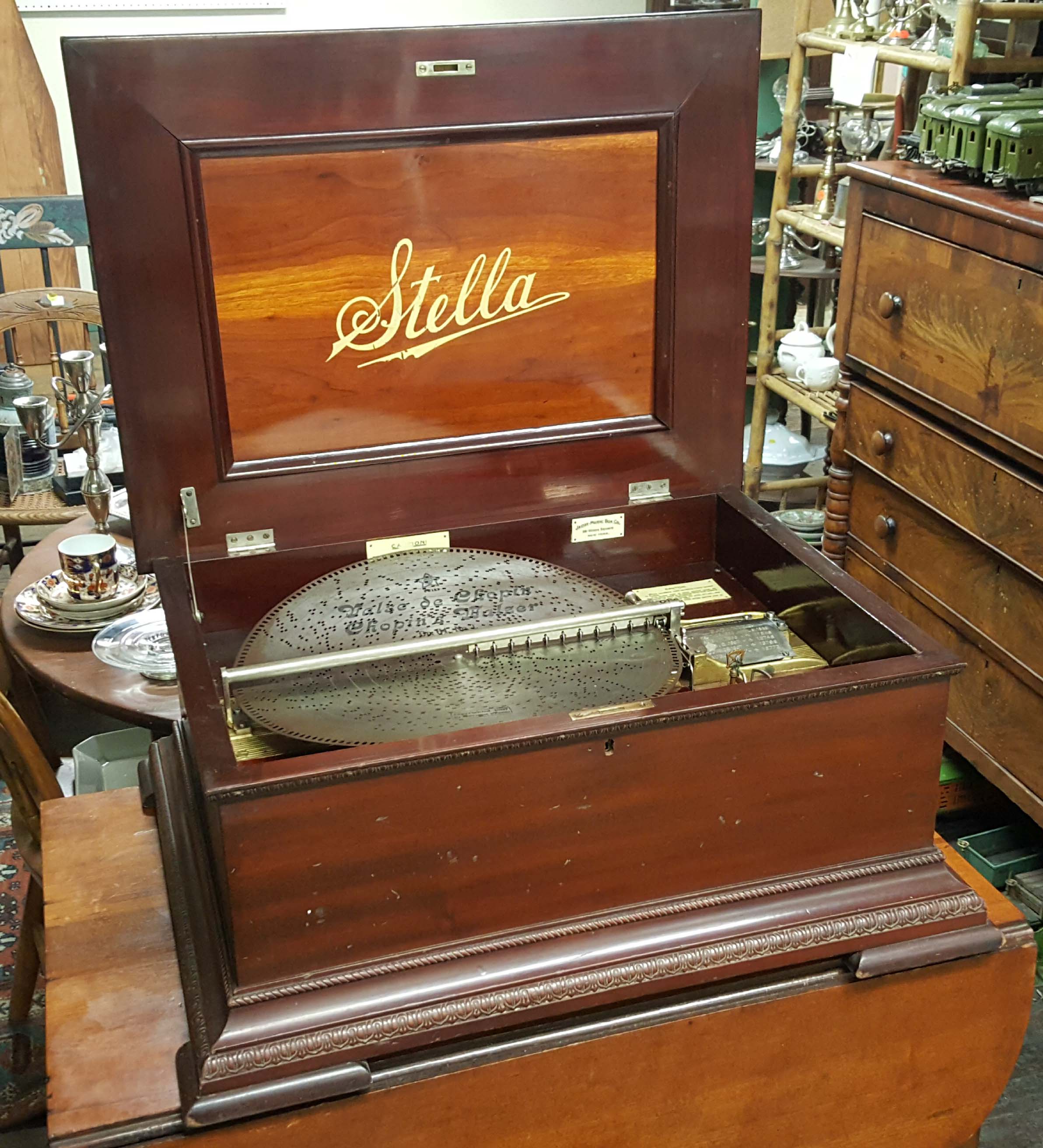 SHOWCASE & SPECIALTY ITEMS