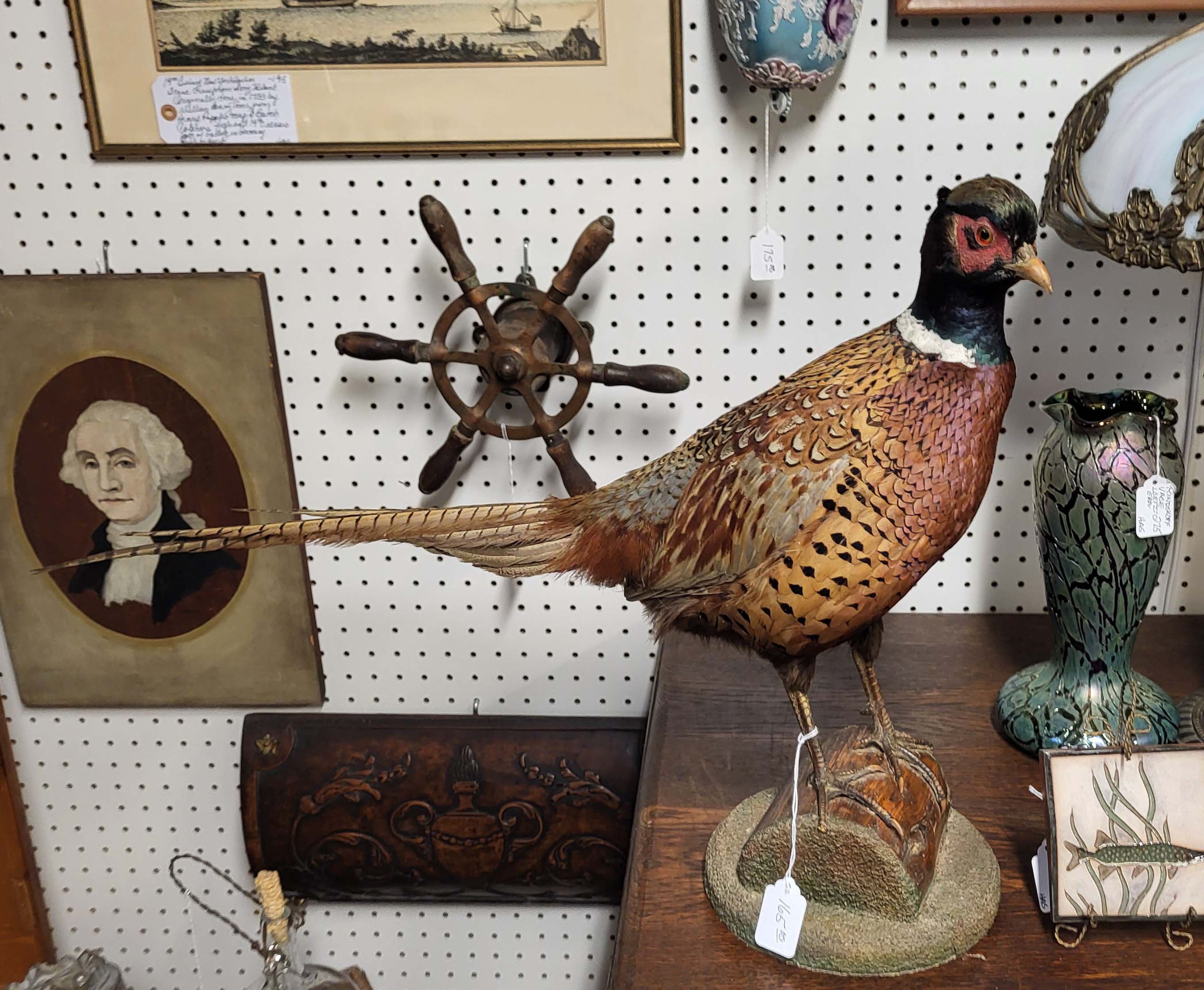 TAXIDERMY PHEASANT